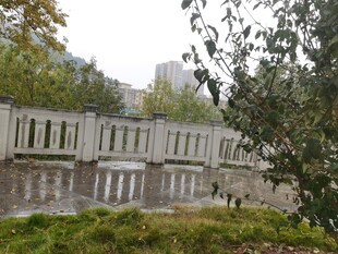 户外石桥旁绿植景观