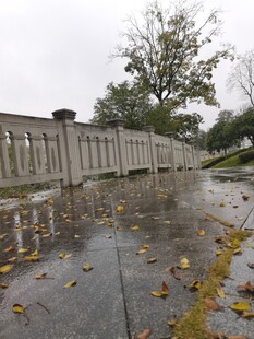 雨后湿滑步道与落叶景象
