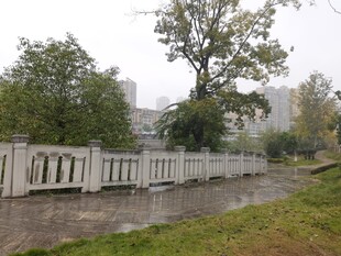 雨中河畔白色围栏风景