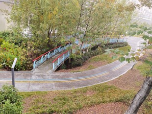 河畔彩色步道与葱郁树木