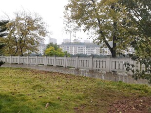 户外草地旁的白色围栏景观