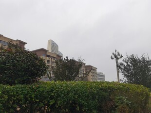 城市远景与绿植景观