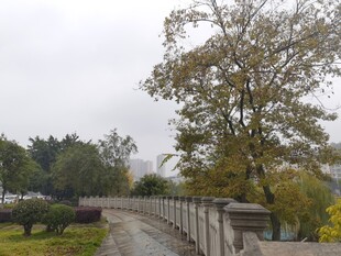 秋日河畔石桥风景