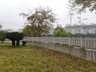 秋日公园草地与围栏景致