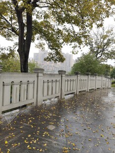 雨后公园小径与围栏景色