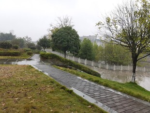 雨中湿润的公园小径