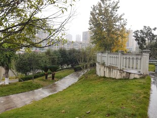 秋日公园幽静小径景色