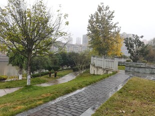 秋日公园幽静石板小路