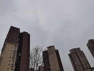 阴天中的林立高楼