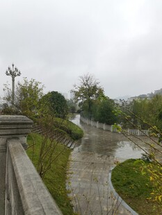 雨中蜿蜒小径绿植相伴