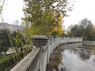 秋日河畔石桥风景