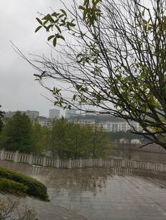 雨后积水的开阔场景