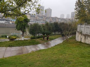 城市雨后河畔公园景致