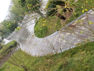 蜿蜒石径穿行于绿草间