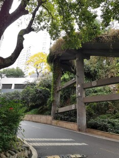 林间石拱绿意环绕的景致