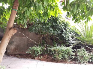 绿荫下的自然景致