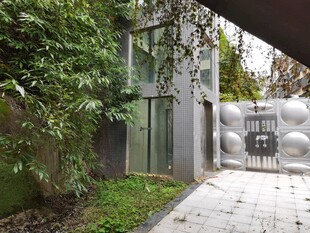 现代庭院绿植环绕景致