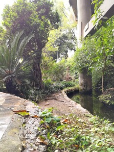 城市中的静谧绿植景观