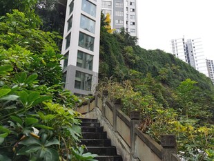 山间电梯与绿植相伴景观