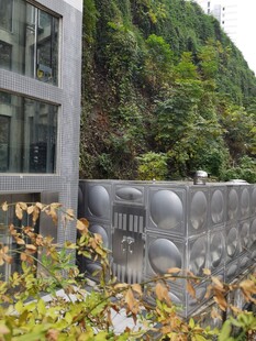 建筑旁的金属围栏与绿植