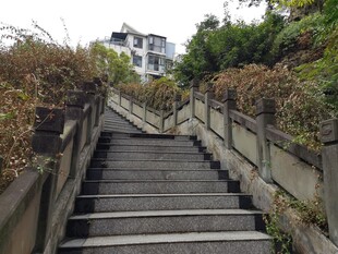 山间石阶小道静谧景致