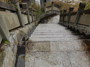 古朴石阶蜿蜒于园林间