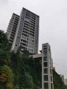 高层住宅与绿植景观