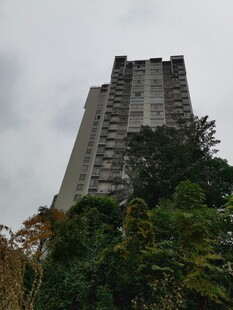 高楼矗立在葱郁树木间