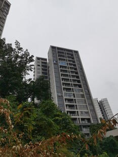 城市中林立的高层住宅楼