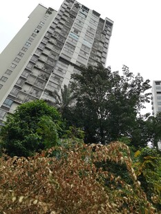 高楼旁的绿植景观