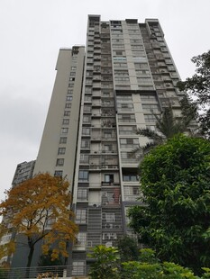 高层住宅楼旁的绿植景观