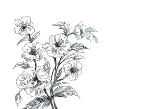 手绘花卉图案