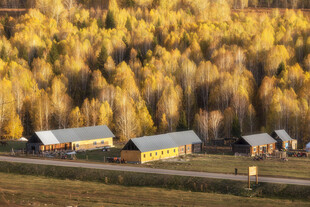 秋日山林中的静谧小屋