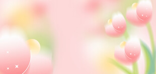 梦幻粉色郁金香背景图