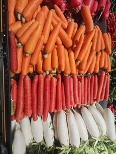 多彩蔬菜整齐挂