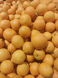 大量饱满橙子堆成小山