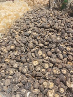 一堆黑褐色菌类干货