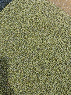 绿色谷物颗粒特写