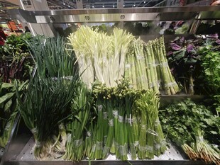 新鲜多样蔬菜陈列展示