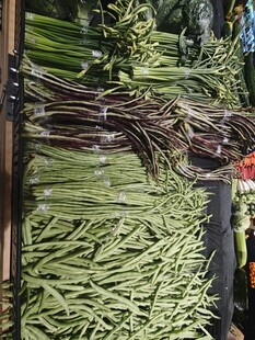 新鲜多样豆角整齐陈列