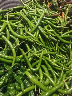 新鲜青辣椒堆叠