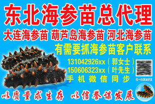 海参海报代理