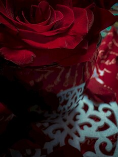 红玫瑰与花纹布料特写