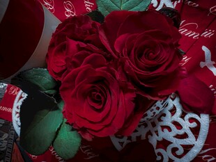 娇艳红玫瑰与精美包装