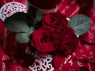 娇艳红玫瑰与蕾丝装饰