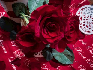 红玫瑰与爱心浪漫装饰