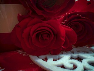 娇艳红玫瑰与白色装饰