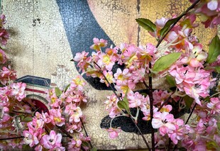 墙边绽放的粉嫩花朵