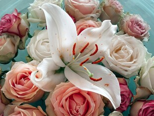 百合与玫瑰的美丽花束