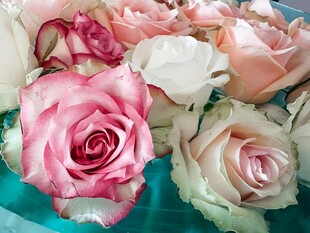 多彩娇艳玫瑰花束